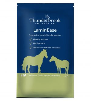 Thunderbrook Laminease