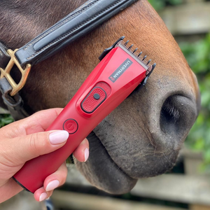 Liveryman Nova Horse Trimmer