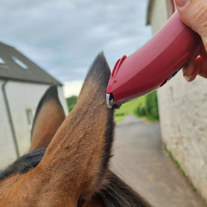 Liveryman Nova Horse Trimmer