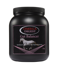 Load image into Gallery viewer, Omega Equine Digest - Gut Balancer