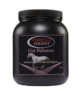 Omega Equine Digest - Gut Balancer