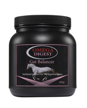 Load image into Gallery viewer, Omega Equine Digest - Gut Balancer