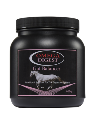 Omega Equine Digest - Gut Balancer