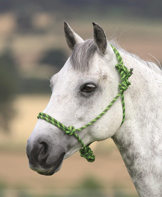 Shires Adjustable Rope Halter