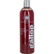 Carr & Day & Martin Gallop Shampoo