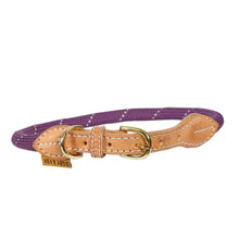 Load image into Gallery viewer, Digby &amp; Fox Reflective Dog Collar