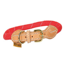 Load image into Gallery viewer, Digby &amp; Fox Reflective Dog Collar
