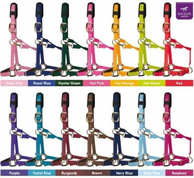 KM Elite Headcollar