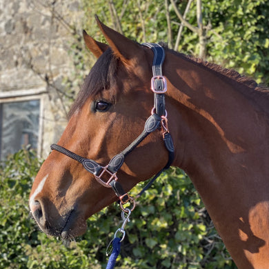 Cameo Equine Anatomic Headcollar