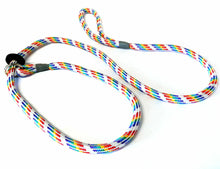 Load image into Gallery viewer, Bisley Loose Braid Dog Slip Lead