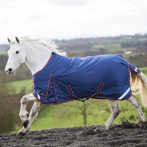 Keadeen 250g Standard Neck Turnout Rug
