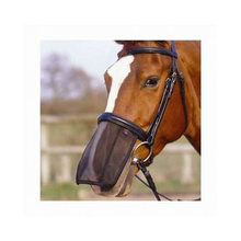 Load image into Gallery viewer, Aerborn Nose Shield