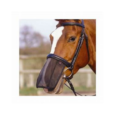 Aerborn Nose Shield